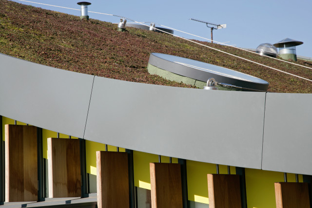 Sedum roof detail